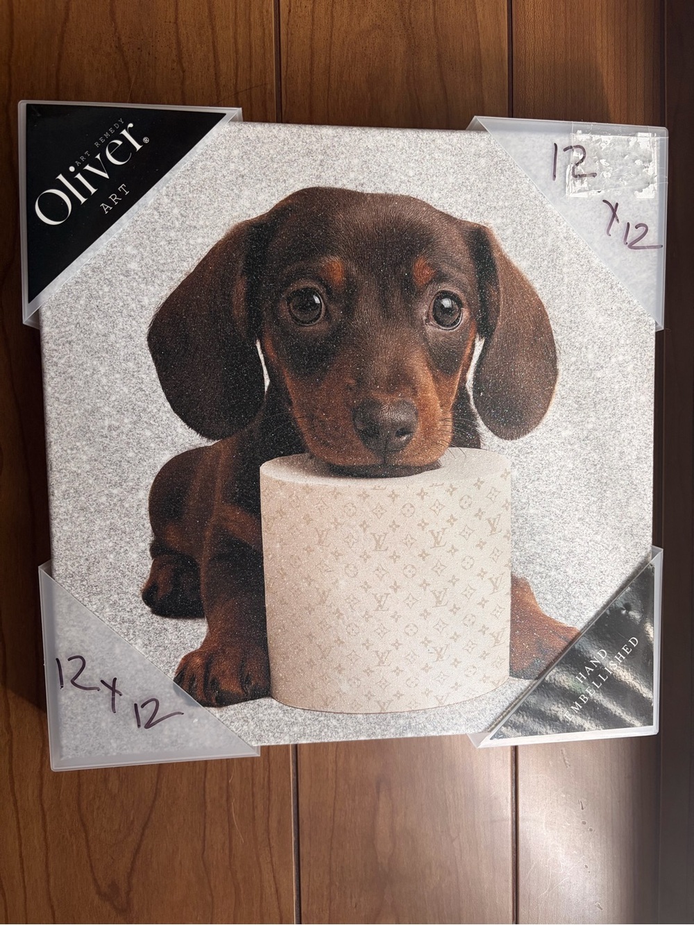 New! Dachshund Dog Art canvas print. 12 x 12